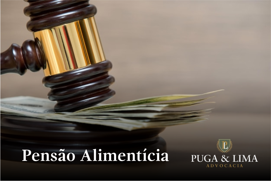 Direito de Família e Sucessões | Pensão Alimentícia | Puga & Lima Advocacia